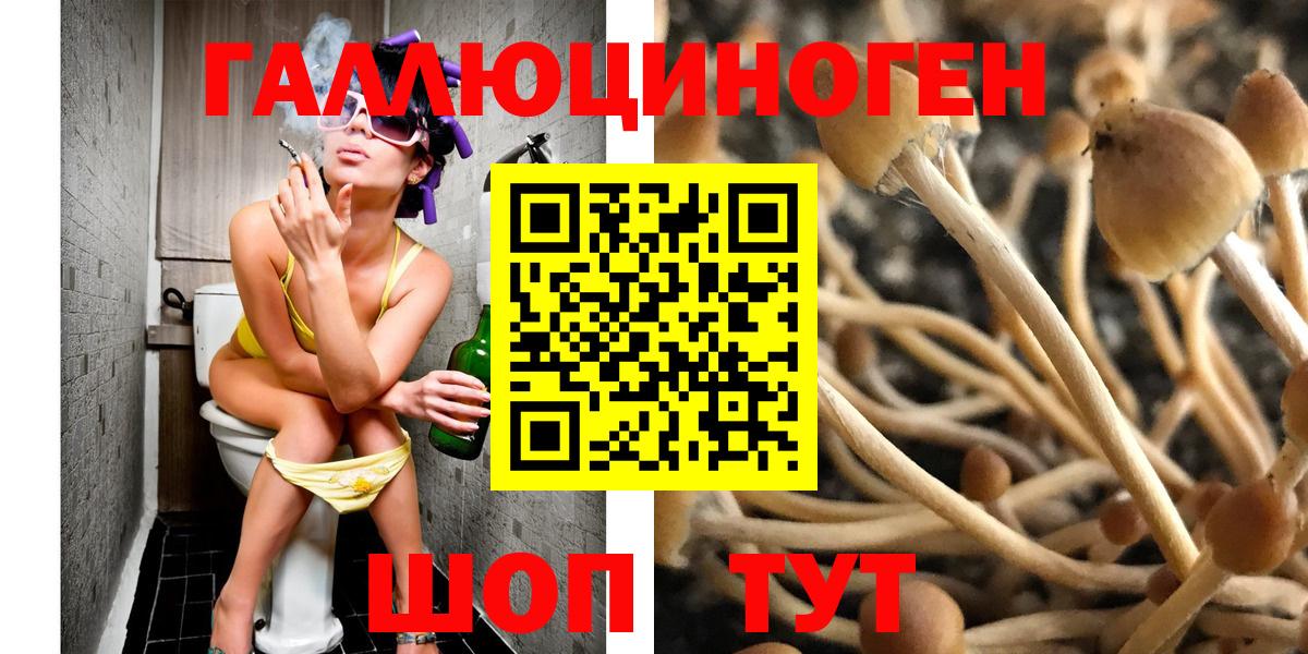 Псилоцибиновые грибы GOLDEN TEACHER Ачхой-Мартан