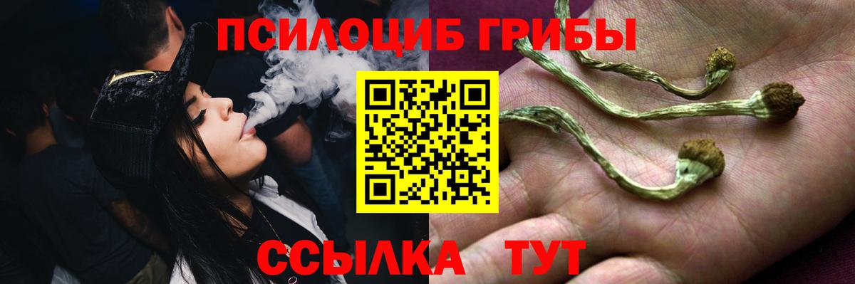 Галлюциногенные грибы Psilocybe  Вход с VPN  Ачхой-Мартан 